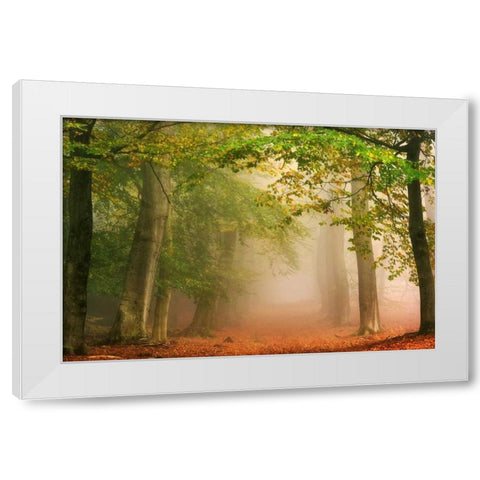 Dreambridge White Modern Wood Framed Art Print by Van de Goor, Lars