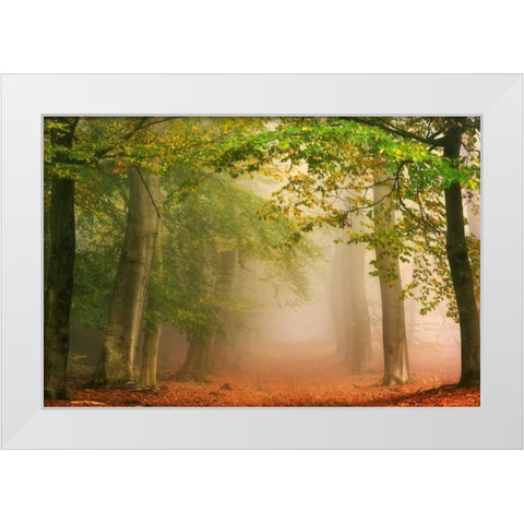 Dreambridge White Modern Wood Framed Art Print by Van de Goor, Lars