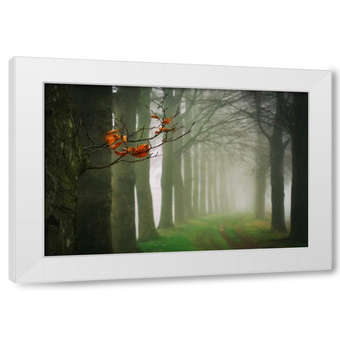 Old and New White Modern Wood Framed Art Print by Van de Goor, Lars