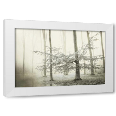 Only for Unicorns White Modern Wood Framed Art Print by Van de Goor, Lars