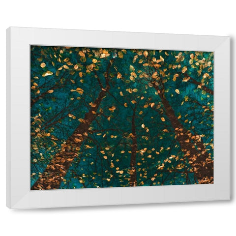 Platoaâ‚¬â„¢s Trees White Modern Wood Framed Art Print by Van de Goor, Lars