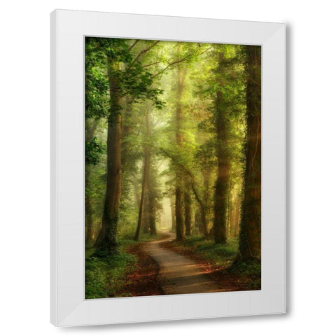 Snake Path White Modern Wood Framed Art Print by Van de Goor, Lars