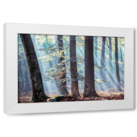Spellbound White Modern Wood Framed Art Print by Van de Goor, Lars