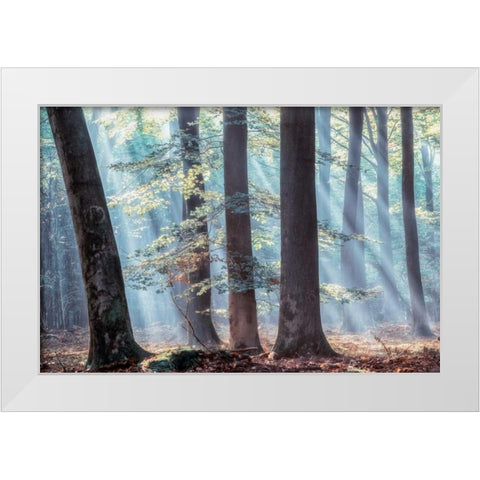 Spellbound White Modern Wood Framed Art Print by Van de Goor, Lars