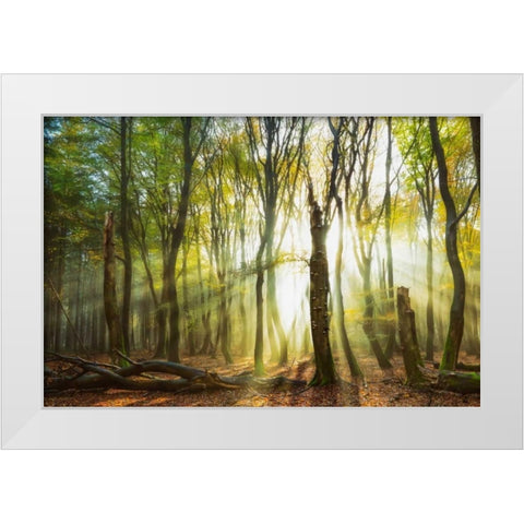 Still Standing White Modern Wood Framed Art Print by Van de Goor, Lars