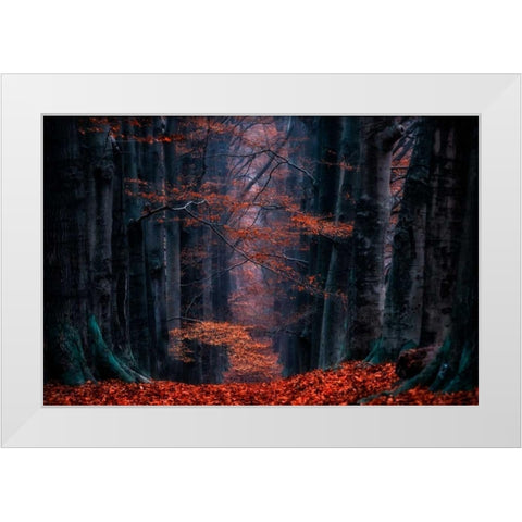 Synapse White Modern Wood Framed Art Print by Van de Goor, Lars