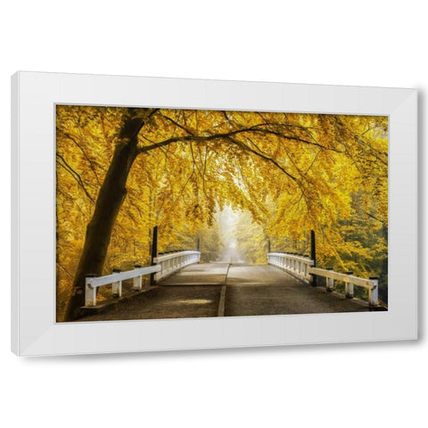 Bridge to Fall III White Modern Wood Framed Art Print by Van de Goor, Lars