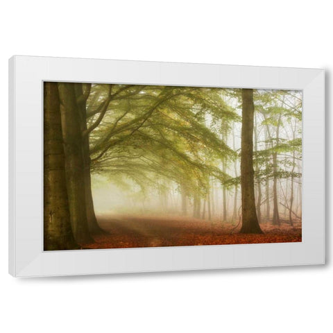 Dreamwalkers White Modern Wood Framed Art Print by Van de Goor, Lars