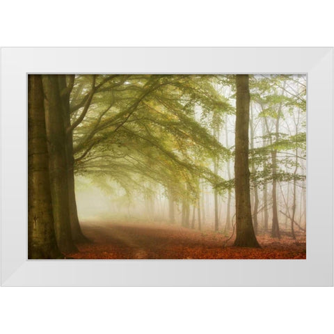 Dreamwalkers White Modern Wood Framed Art Print by Van de Goor, Lars
