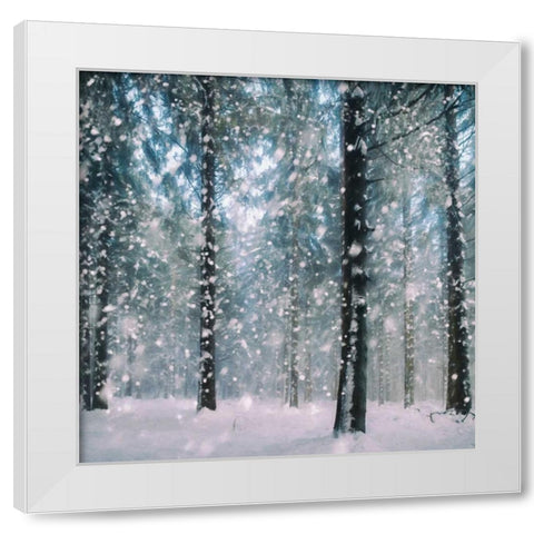 Flakes White Modern Wood Framed Art Print by Van de Goor, Lars