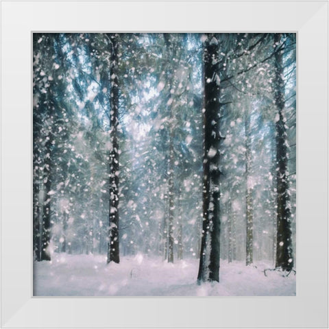 Flakes White Modern Wood Framed Art Print by Van de Goor, Lars