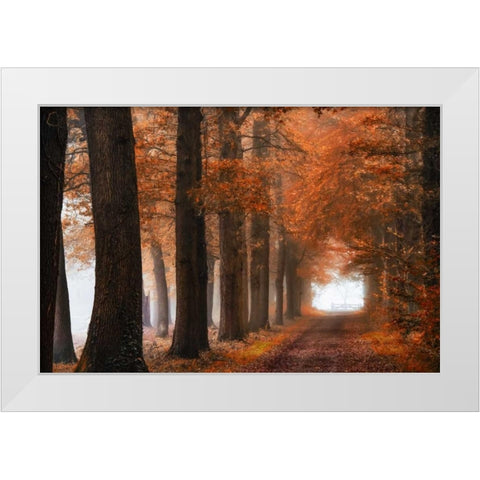 Glorious Season White Modern Wood Framed Art Print by Van de Goor, Lars