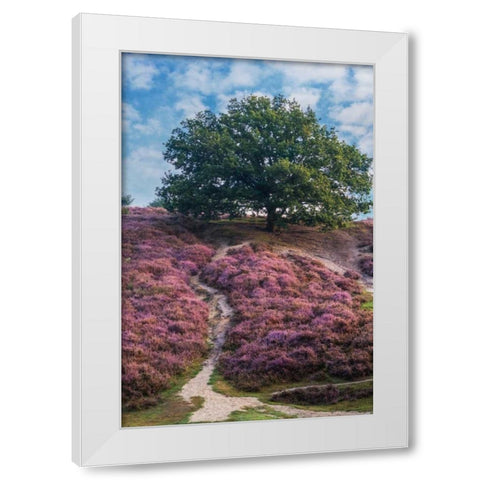 Purple Heath White Modern Wood Framed Art Print by Van de Goor, Lars