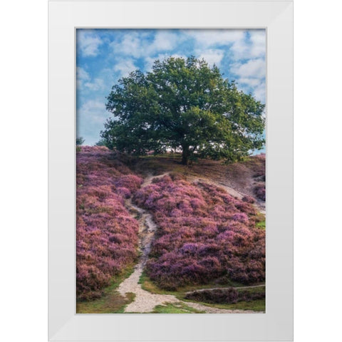 Purple Heath White Modern Wood Framed Art Print by Van de Goor, Lars