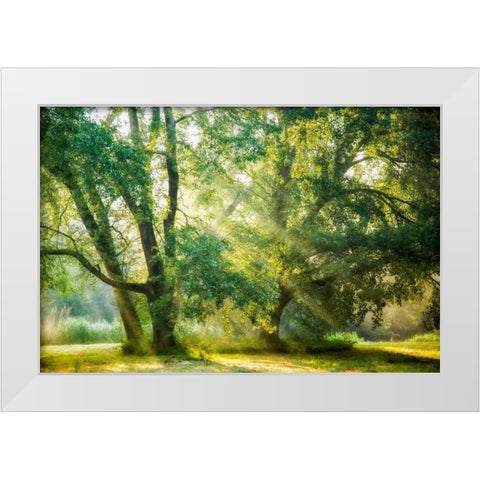 Receiving and Giving White Modern Wood Framed Art Print by Van de Goor, Lars