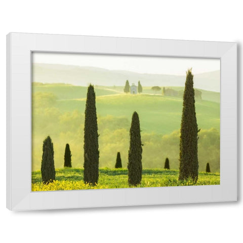 Tuscan Temple White Modern Wood Framed Art Print by Van de Goor, Lars