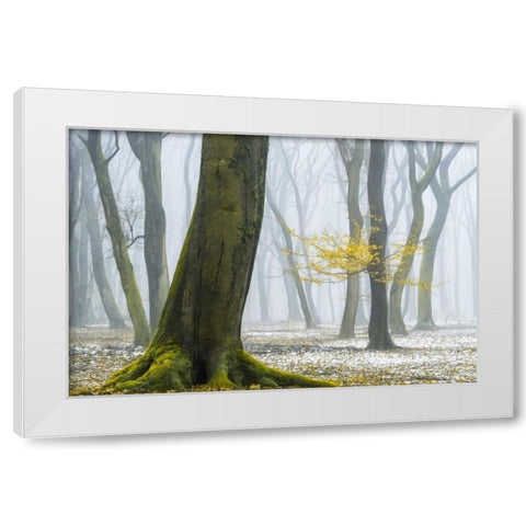 Winter Colors White Modern Wood Framed Art Print by Van de Goor, Lars