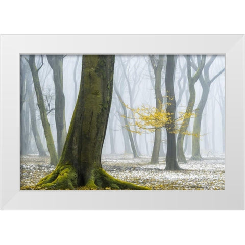 Winter Colors White Modern Wood Framed Art Print by Van de Goor, Lars