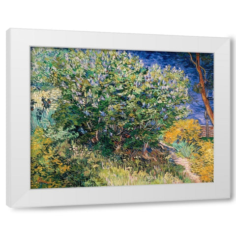 Lilac Bush White Modern Wood Framed Art Print by Van Gogh, Vincent