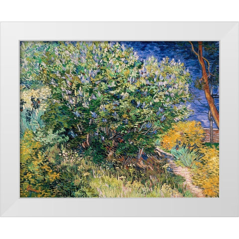 Lilac Bush White Modern Wood Framed Art Print by Van Gogh, Vincent