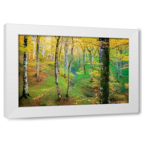 Dream of Birches White Modern Wood Framed Art Print by Van de Goor, Lars