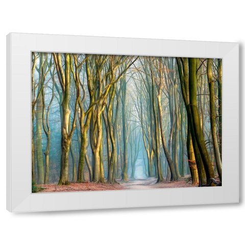Light and Trees White Modern Wood Framed Art Print by Van de Goor, Lars