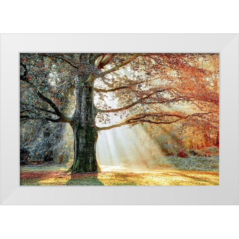 Basking In The Sun White Modern Wood Framed Art Print by Van de Goor, Lars
