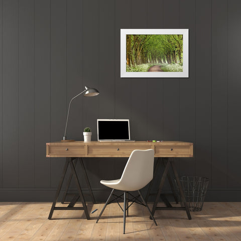 Cow Parsley Curve White Modern Wood Framed Art Print by Van de Goor, Lars