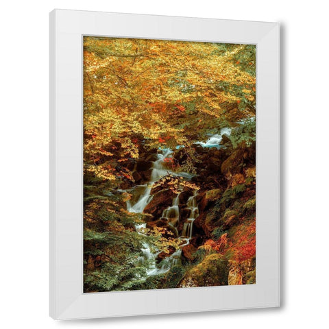 Hidden Waterfall White Modern Wood Framed Art Print by Van de Goor, Lars