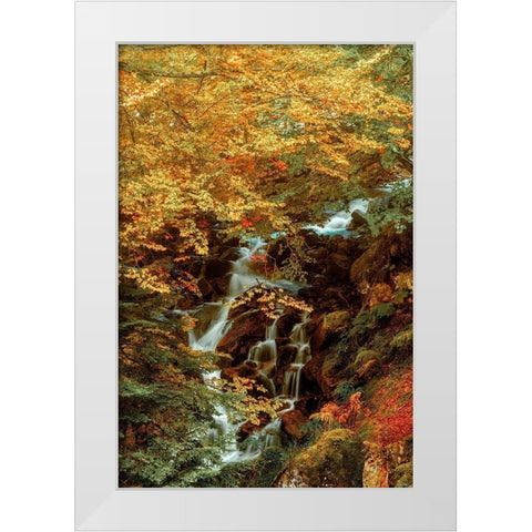 Hidden Waterfall White Modern Wood Framed Art Print by Van de Goor, Lars