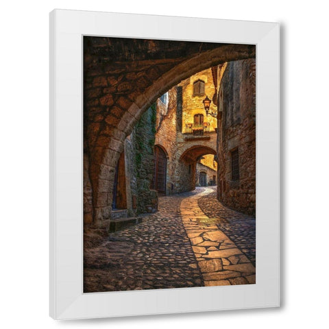 Pals White Modern Wood Framed Art Print by Van de Goor, Lars