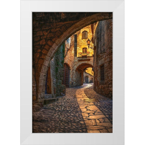 Pals White Modern Wood Framed Art Print by Van de Goor, Lars