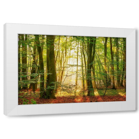 Power Beam White Modern Wood Framed Art Print by Van de Goor, Lars