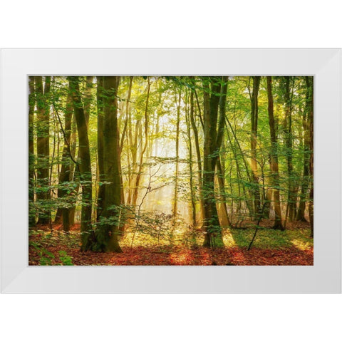 Power Beam White Modern Wood Framed Art Print by Van de Goor, Lars
