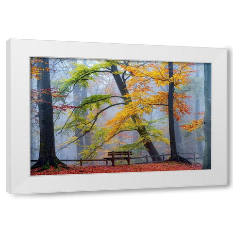 Take A Seat And Enjoy White Modern Wood Framed Art Print by Van de Goor, Lars