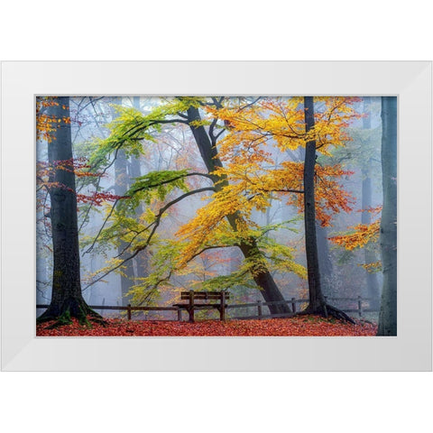 Take A Seat And Enjoy White Modern Wood Framed Art Print by Van de Goor, Lars