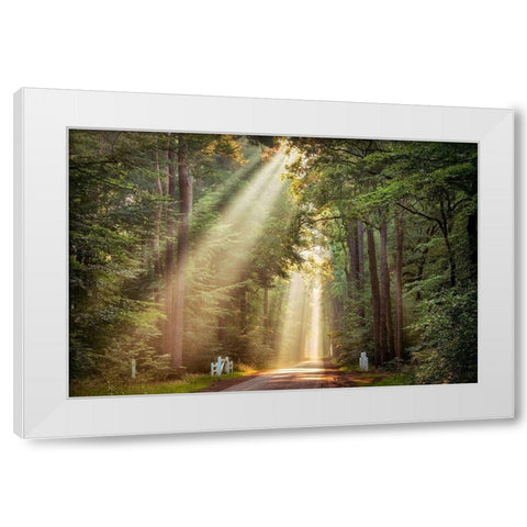 This Beam is Booming White Modern Wood Framed Art Print by Van de Goor, Lars