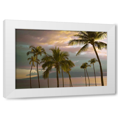 Hawaii Palm Sunset No. 1 White Modern Wood Framed Art Print by Vargas, Carlos