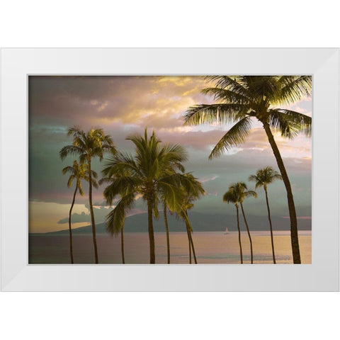 Hawaii Palm Sunset No. 1 White Modern Wood Framed Art Print by Vargas, Carlos