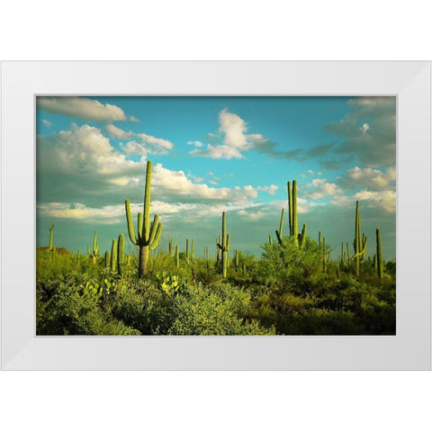 Saguaros No. 2 White Modern Wood Framed Art Print by Vargas, Carlos