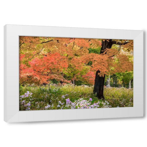 Autumn Splendor White Modern Wood Framed Art Print by Varona, Verne