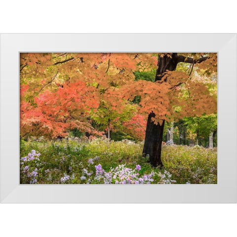 Autumn Splendor White Modern Wood Framed Art Print by Varona, Verne