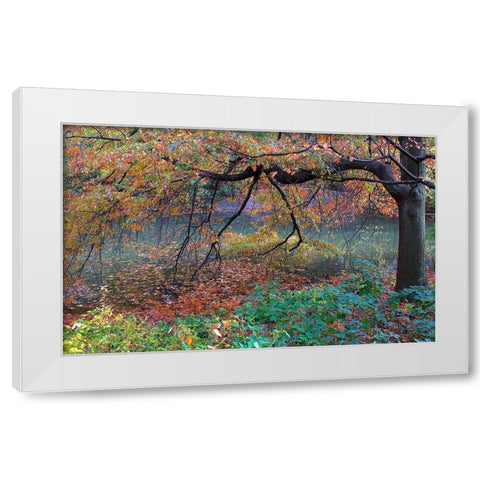 Fall Retreat White Modern Wood Framed Art Print by Varona, Verne