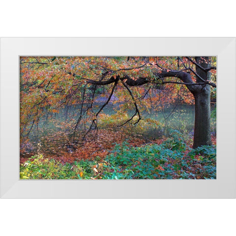 Fall Retreat White Modern Wood Framed Art Print by Varona, Verne
