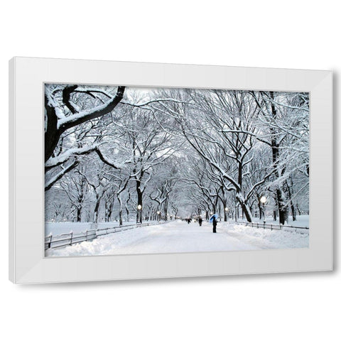 White Wonder White Modern Wood Framed Art Print by Varona, Verne