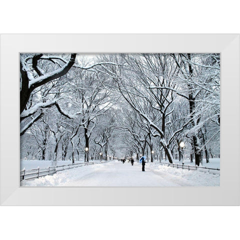 White Wonder White Modern Wood Framed Art Print by Varona, Verne