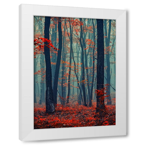 Autumn Forest In The Mist White Modern Wood Framed Art Print by Vitomirov, Igor