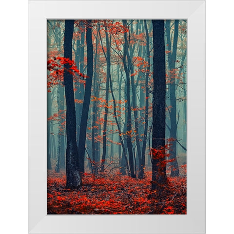 Autumn Forest In The Mist White Modern Wood Framed Art Print by Vitomirov, Igor