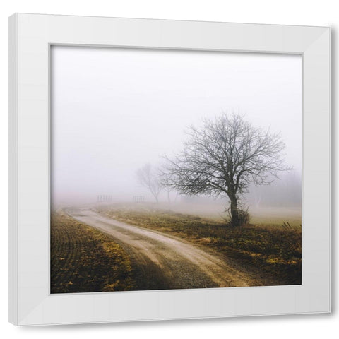 Lonely Tree In The Mist White Modern Wood Framed Art Print by Vitomirov, Igor