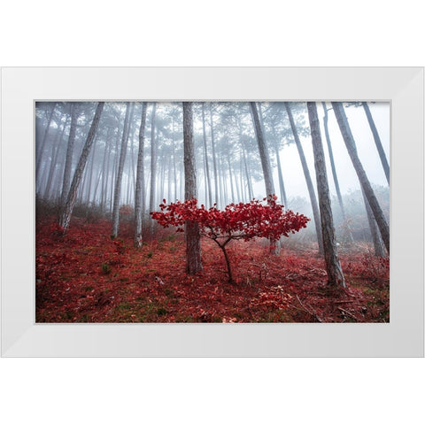 Misty Autumn White Modern Wood Framed Art Print by Vitomirov, Igor